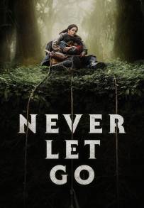 Never Let Go - A un passo dal male (2024)